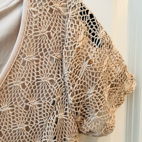 Rosegold Petite Tan Net Lace Overlay Dress - Picture 5 of 14